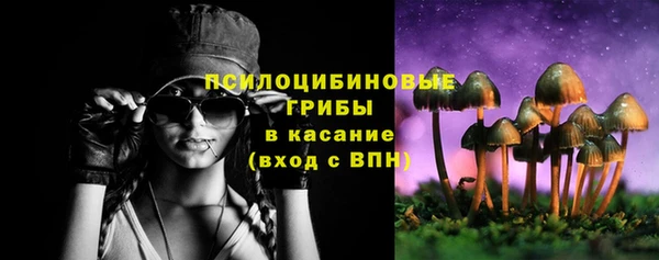 амф Верея