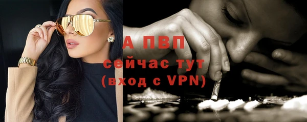 амф Верея