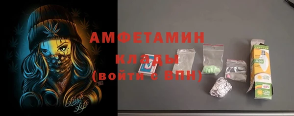 амф Верея