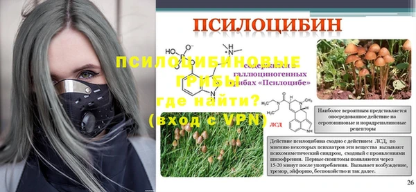 мяу мяу кристалл Бородино