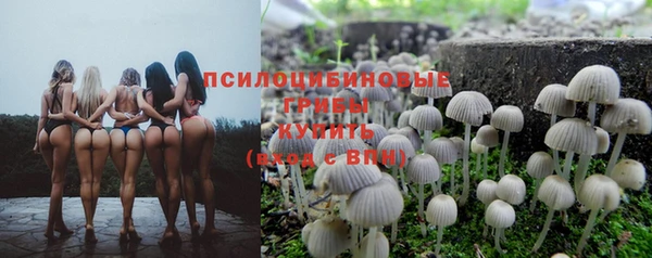 амф Верея